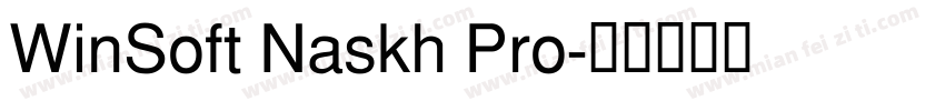 WinSoft Naskh Pro字体转换